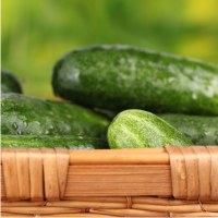 пищевая аллергия