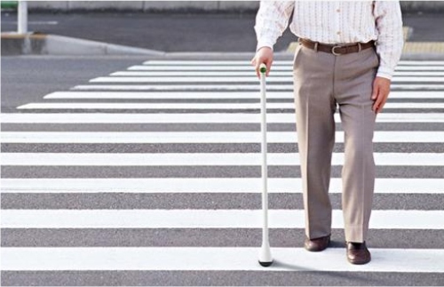 трость трость