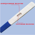 тест на беременность